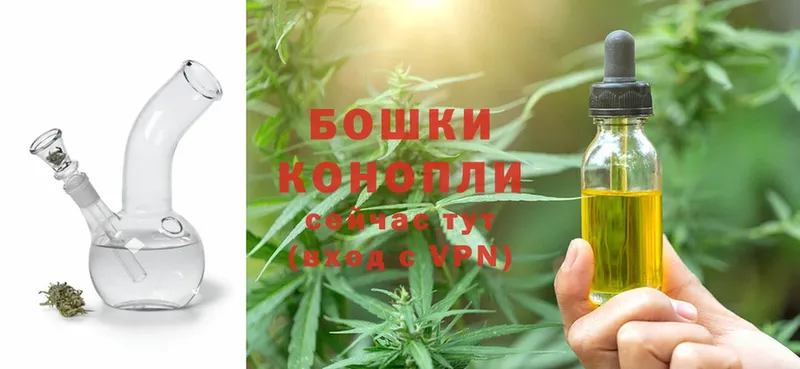 Бошки Шишки LSD WEED  мориарти какой сайт  Невинномысск  кракен как зайти 